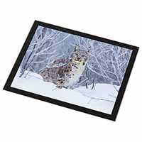 Wild Lynx in Snow Black Rim High Quality Glass Placemat