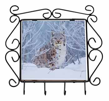 Wild Lynx in Snow Wrought Iron Key Holder Hooks