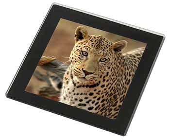 Leopard Black Rim High Quality Glass Coaster