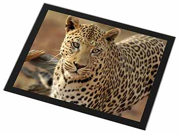 Leopard Black Rim High Quality Glass Placemat