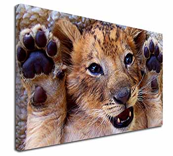 Cute Lion Cub Canvas X-Large 30"x20" Wall Art Print