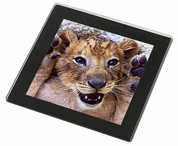 Cute Lion Cub Black Rim High Quality Glass Coaster