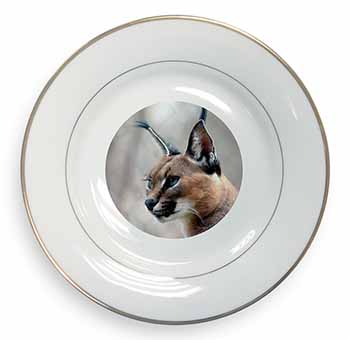 Lynx Caracal Gold Rim Plate Printed Full Colour in Gift Box