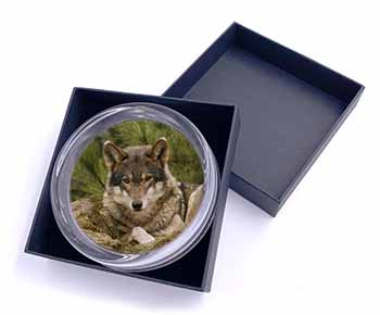 A Beautiful Wolf Glass Paperweight in Gift Box