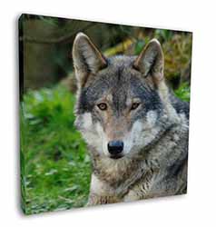 A Gorgeous Wolf Square Canvas 12"x12" Wall Art Picture Print