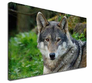 A Gorgeous Wolf Canvas X-Large 30"x20" Wall Art Print