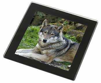 A Gorgeous Wolf Black Rim High Quality Glass Coaster