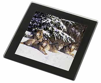 Wolves in Snow Black Rim High Quality Glass Coaster