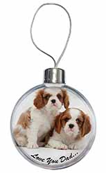 Cavalier King Charles 