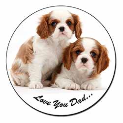 Cavalier King Charles 