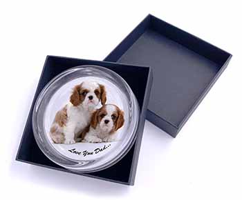 Cavalier King Charles 