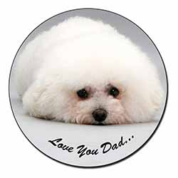 Bichon Frise 