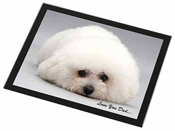 Bichon Frise 