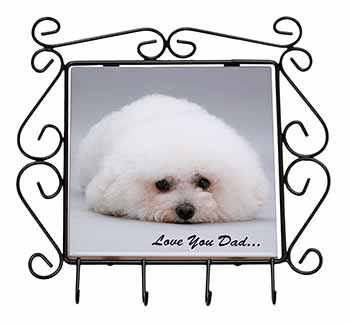 Bichon Frise 