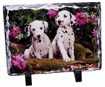 Dalmatian Dogs 