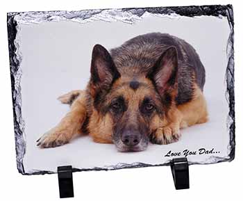 German Shepherd Dog 