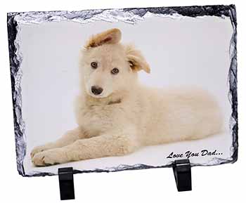 White German Shepherd 