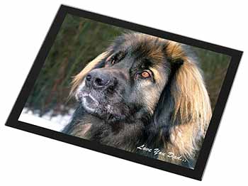 Leonberger Dog 