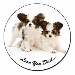 Papillon Dogs 