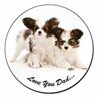 Papillon Dogs 