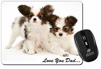 Papillon Dogs 