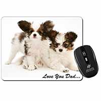 Papillon Dogs 