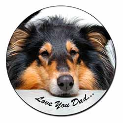 Rough Collie Dog 