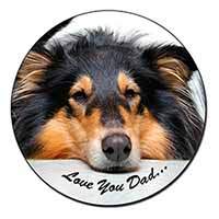 Rough Collie Dog 