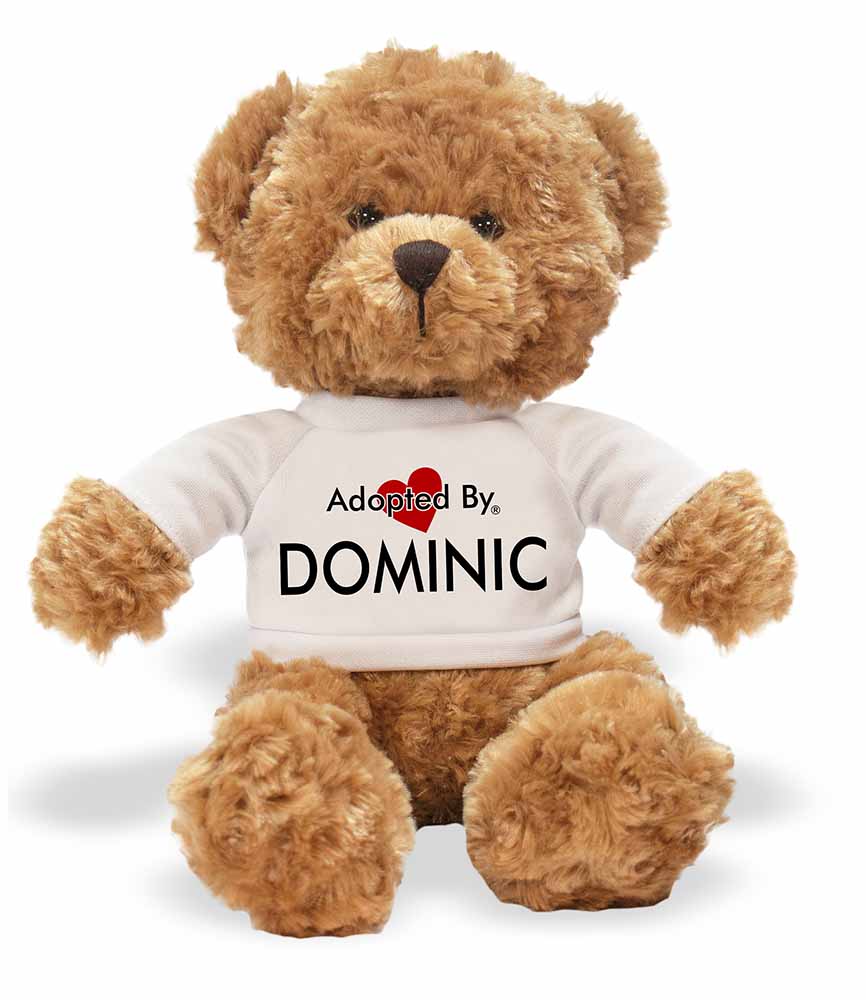 teddy bear with personalised t shirt