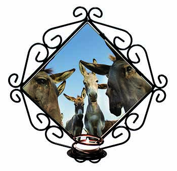 Donkeys Intrigued by Camera Wrought Iron Wall Art Candle Holder