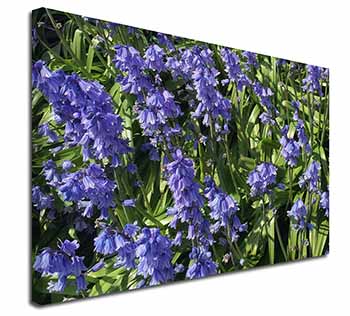 Bluebells in the Wood Canvas X-Large 30"x20" Wall Art Print