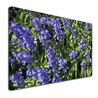 Bluebells in the Wood Canvas X-Large 30"x20" Wall Art Print