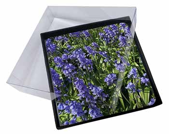 4x Bluebells in the Wood Picture Table Coasters Set in Gift Box