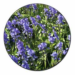 Bluebells in the Wood Fridge Magnet Printed Full Colour