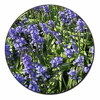 Bluebells in the Wood Fridge Magnet Printed Full Colour