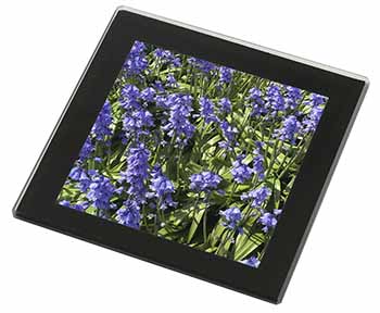 Bluebells in the Wood Black Rim High Quality Glass Coaster