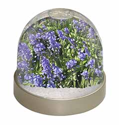 Bluebells in the Wood Snow Globe Photo Waterball