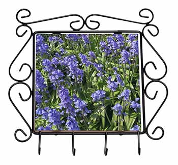 Bluebells in the Wood Wrought Iron Key Holder Hooks