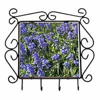 Bluebells in the Wood Wrought Iron Key Holder Hooks