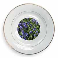 Bluebells in the Wood Gold Rim Plate Printed Full Colour in Gift Box