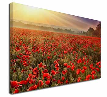 Poppies, Poppy Field at Sunset Canvas X-Large 30"x20" Wall Art Print