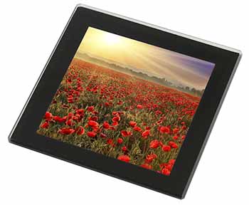 Poppies, Poppy Field at Sunset Black Rim High Quality Glass Coaster