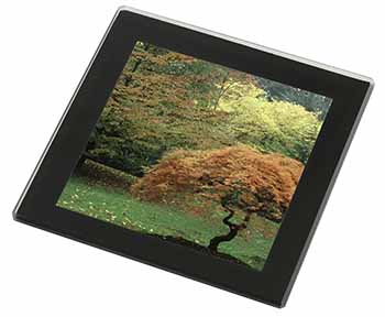 Autumn Trees Black Rim Glass Coaster Animal Breed Gift