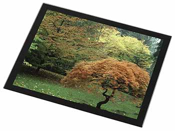 Autumn Trees Black Rim Glass Placemat Animal Table Gift