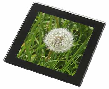 Dandelion Seeds Black Rim Glass Coaster Animal Breed Gift