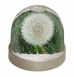 Dandelion Fairy Photo Snow Globe Waterball Stocking Filler Gift