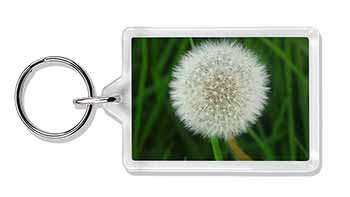 Dandelion Fairy Photo Keyring Animal Gift