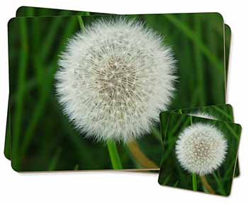 Dandelion Fairy Twin 2x Placemats+2x Coasters Set in Gift Box