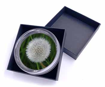 Dandelion Fairy Glass Paperweight in Gift Box Christmas Present