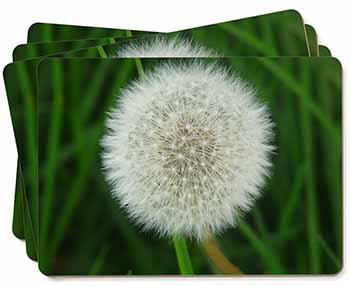 Dandelion Fairy Picture Placemats in Gift Box